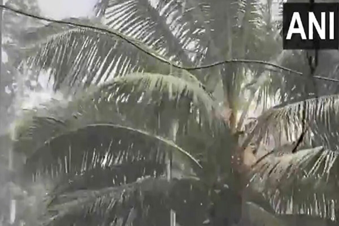 Heavy rain lashes Kerala, educational institutions closed in many districts