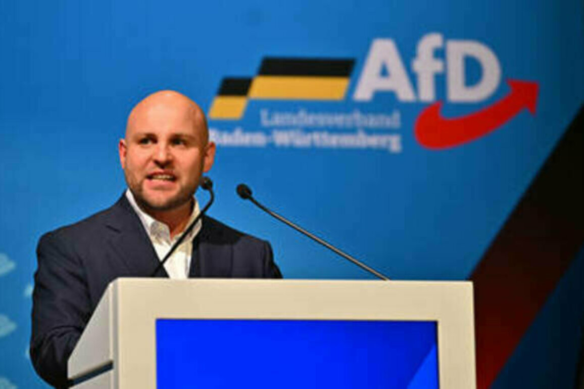 AfD calls for 'Germany first' policy