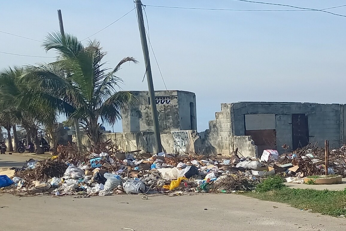 Rats Invade Homes in Cuba - Havana Times