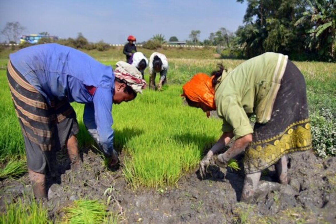 Retail inflation for agricultural, rural workers grows marginally in Feb