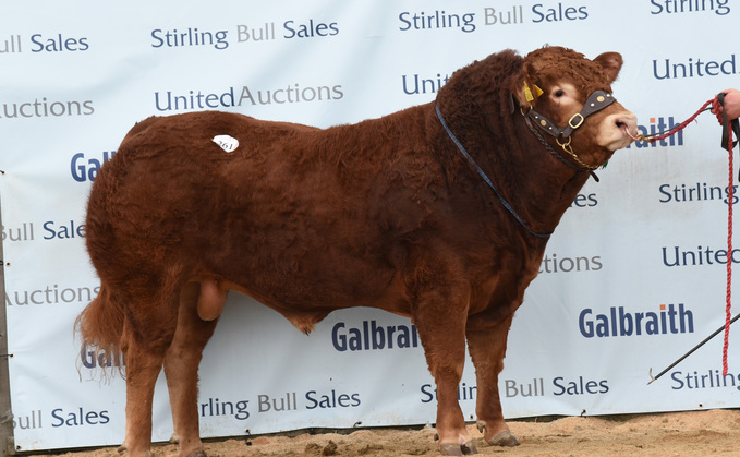 Sale leader Anside Titan from Martin and Mel Irvine, Keith which sold for 14,000gns to Fodderletter Farms, Banffshire.