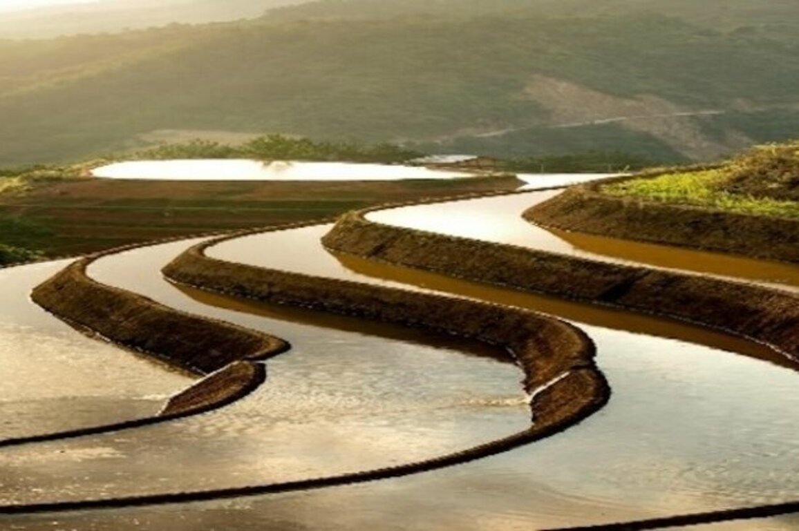 The Worlds Hunger. Geopolitics of Food