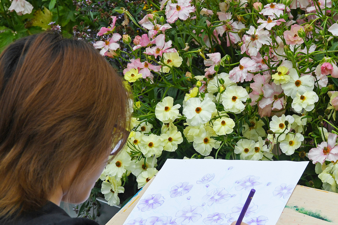 CHINA-HONG KONG-FLOWER SHOW 2026 (CN)