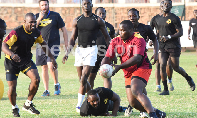 Rugby Cranes coach says preparations have hit top gear Rugby Cranes coach says preparations have hit top gear