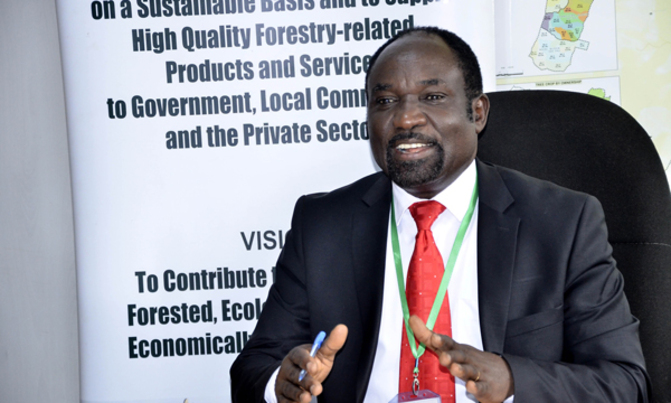 200,000 jobs to be created from commercial tree planting 200,000 jobs to be created from commercial tree planting