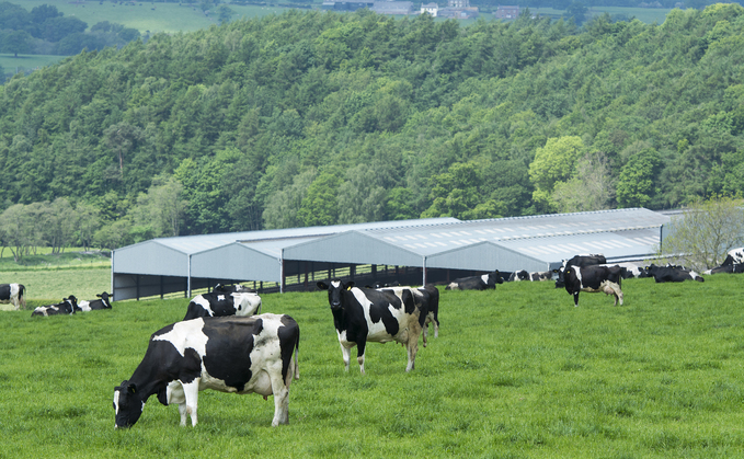 Prospects brighter for remaining dairy farmers