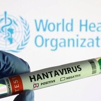Hantavirus cases from cruise outbreak rise to 13: WHO