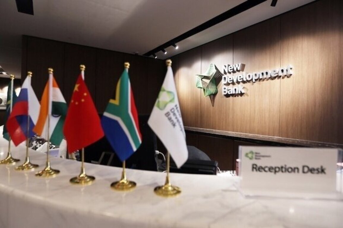 Opinion  Can the BRICS Adapt to a Transactional World