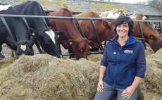 Farming matters: Abi Reader - 'CHeCS is an important tool for breeders, but everyone needs to trust it'