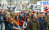 UK farmers considering plans for a nationwide fuel and fertiliser protest