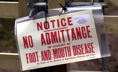 2001 UK foot-and-mouth outbreak - 25 years on: "The countryside should never be shut down again"