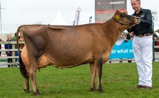 Balmoral Show 2021: Jersey lifts dairy inter-breed