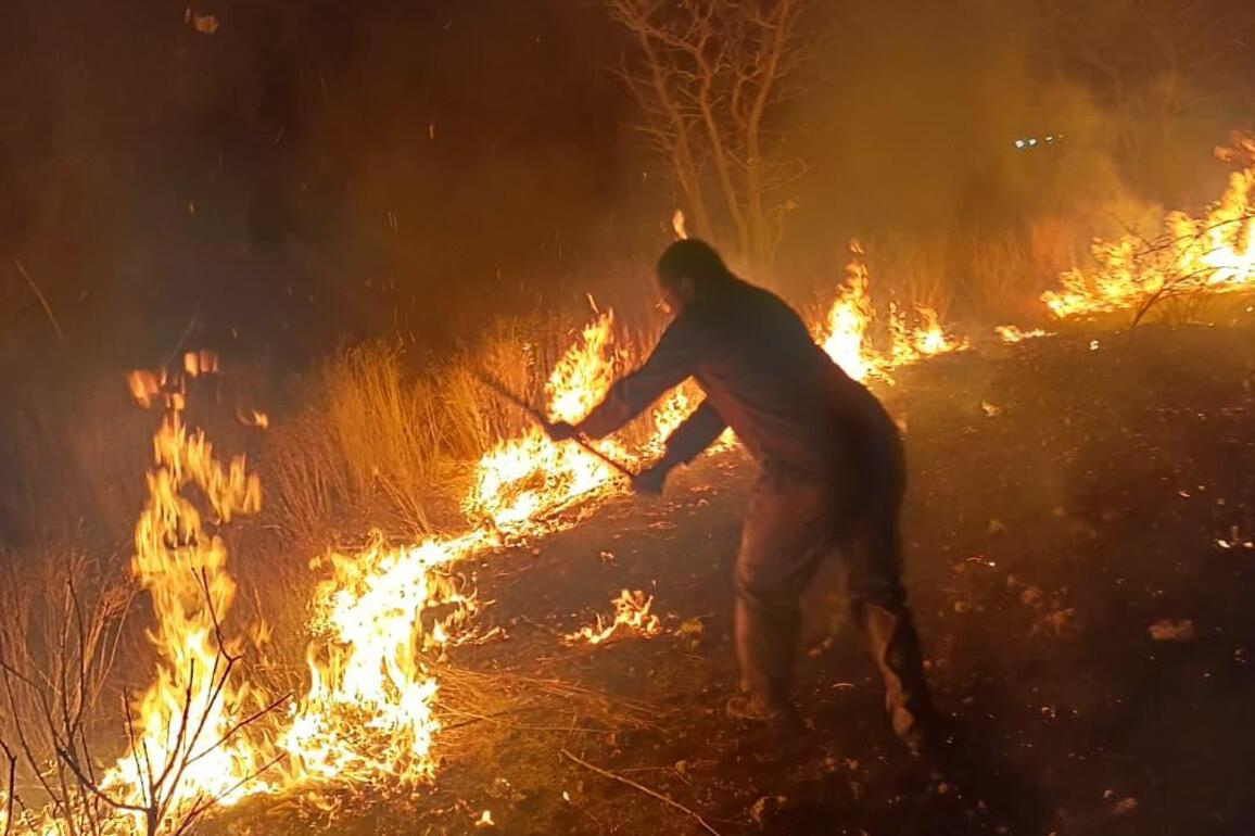 NAMIBIA-ETOSHA NATIONAL PARK-WILDFIRES