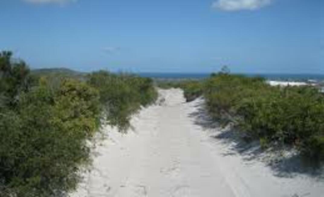  The road to Cape Flattery