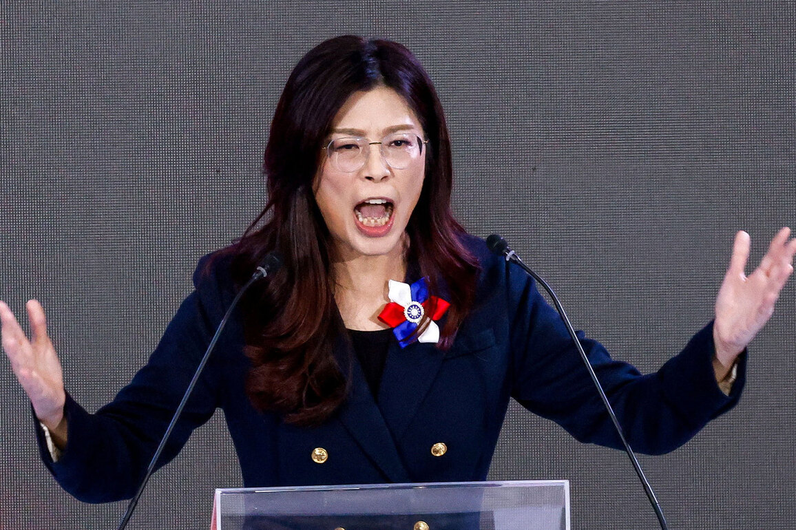 Taiwan's KMT chair Cheng Li-wun pledges democracy, economic revival, cross-strait peace
