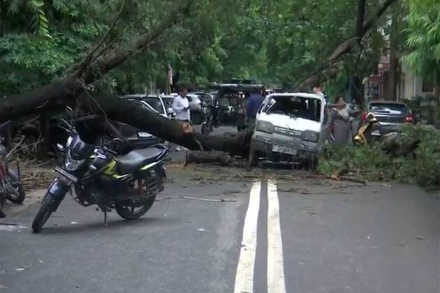 Delhi: Tree falls on van in Rohini following heavy rainfall; no casualties reported