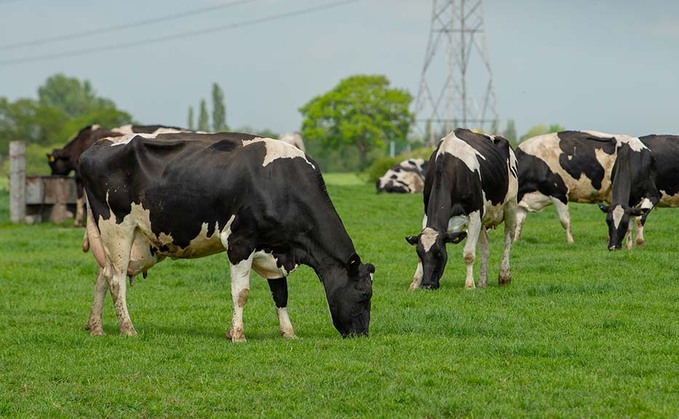 Manchester Dairy fined £34,000 for overloading vans delivering Freshways milk