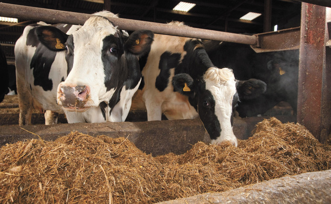 To prevent SARA, Debby Brown advises ensuring diets contain enough fibre and regularly sampling forages to combat acidic silages before they are fed to the herd. 