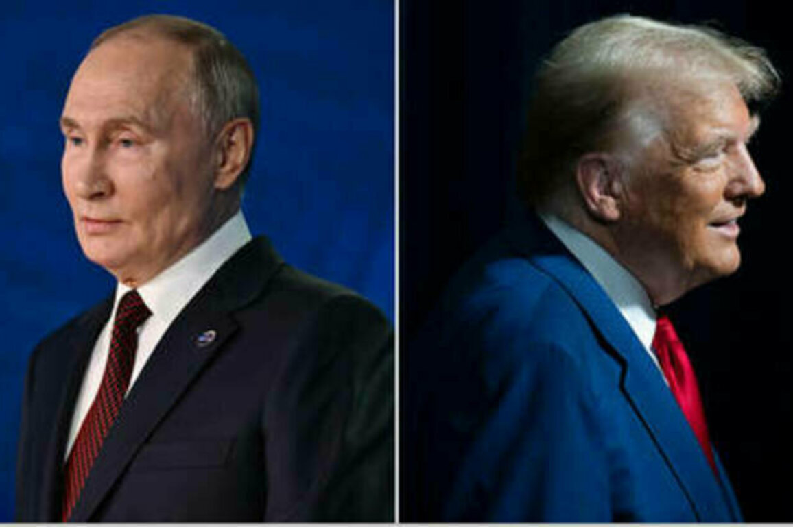 Here's what Putin and Trump want from the Ukraine peace deal