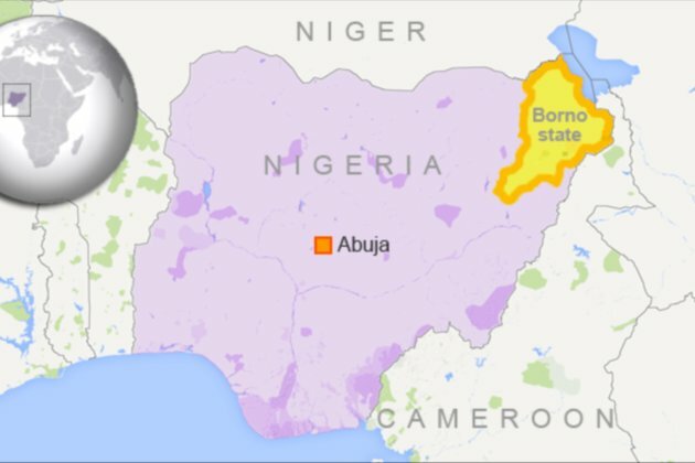 Militants Kill 25 Nigerian Soldiers, Some Civilians, Sources Report