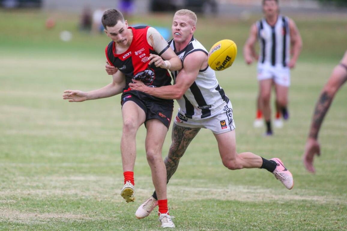 Reigning premiers hold off gallant Roos in GFL grand final replay