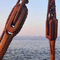 Stitched sailing vessel INSV 'Kaundinya' sights land near Oman, "Land Ahoy" says crew member Sanjeev Sanyal