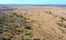 Mined land was progressively rehabilitated to pasture grass species with the post mining land use for Collinsville being grazing.  