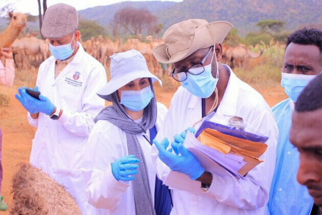 WOAH Centre for Camel Diseases detects likely cause of Ethiopia camel deaths