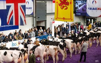 World class cattle and new supreme title at Borderway UK Dairy Expo 