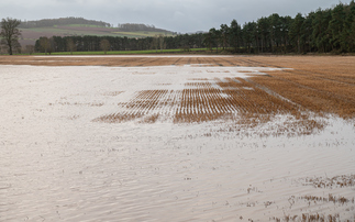 'Winter washout': Extreme rainfall expected to knock nearly £1bn off arable farm revenues