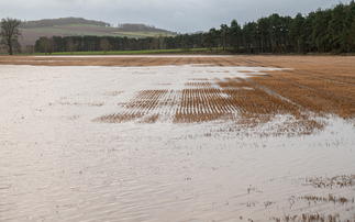 Budget: Farmers and green groups weigh up 'mixed bag' for food and nature