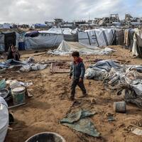 Explainer: How are humanitarian conditions in Gaza after the ceasefire?