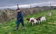 Connecting inner city children to farming is key: "A boy from London now wants to be a farmer"