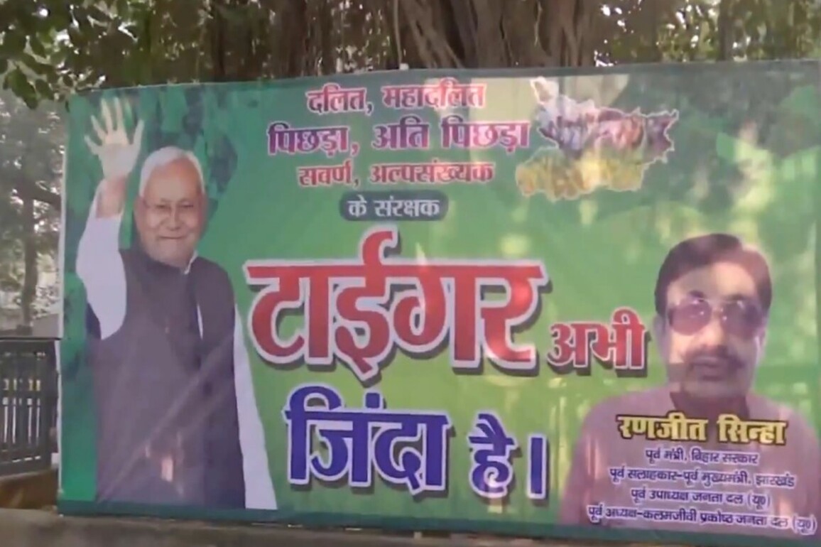 'Tiger Zinda Hai': JD(U) celebrates its chief Nitish Kumar day before poll results