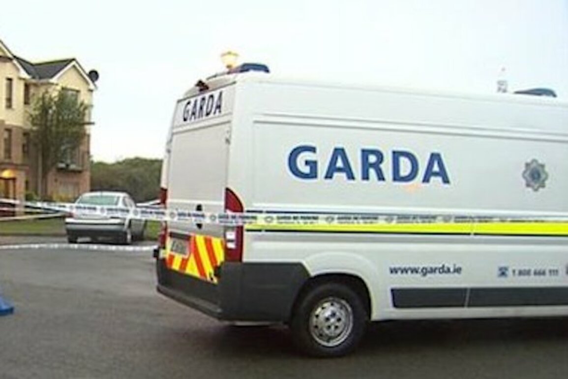 Young Girl Fatally Injured in Galway Cycling Collision