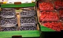 Lidl to invest £500m in British berries after increases in volumes
