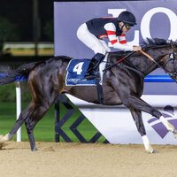 UAE Derby runner-up to compete in Kentucky Derby 2026