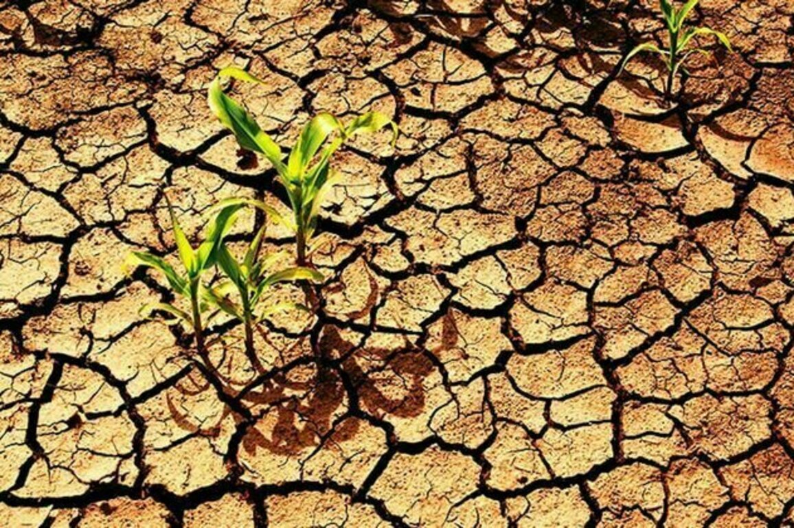 Drought can make farmers feel worried and hopeless: Ghana study finds social networks help