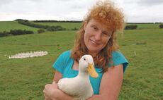 Farming matters: Rona Amiss - 'The future is too exciting to take a retirement subsidy'