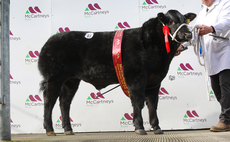 Brecon Show Potentials top at £6,700 