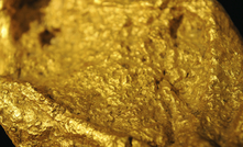 King River hits high-grade gold