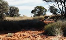  Wiluna uranium mine landscape