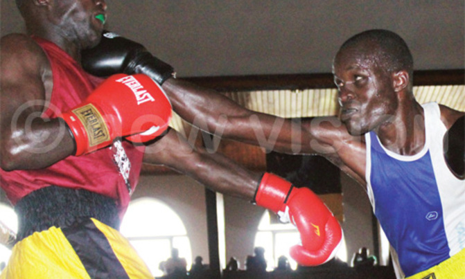Veteran boxer Aliga returns to the ring Veteran boxer Aliga returns to the ring