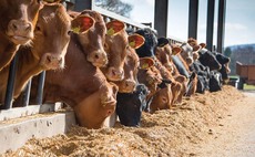 British farmers championed through a new major retailer campaign