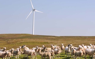 On-shore wind projects could return if power changes hands
