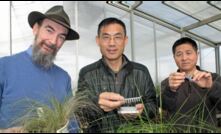  NSW Department of Primary Industries scientists, Drs David Gopurenko, Hanwen Wu and Aisuo Wang have developed a field kit to identify invasive weeds in their early growth stages. Picture courtesy NSW DPI.