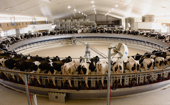 Letters: "How many dairy farms use precision livestock farming technologies and how do they support decision-making?