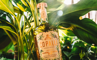 'Unprecedented climate benchmark': Belizean rum toasts carbon negative footprint