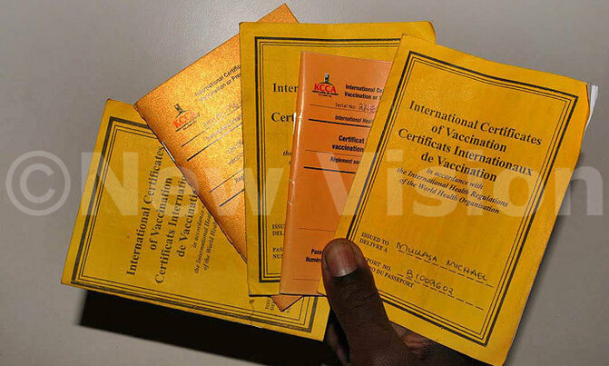 Government moves to take over yellow fever immunisation Government moves to take over yellow fever immunisation