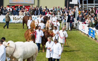Bovine TB, farm safety and a celebration of farming, food and rural life at the Royal Cornwall Show